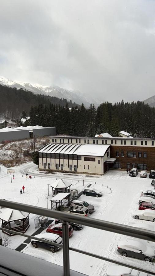 Coca Apart Mountain View Sinaia Exterior photo