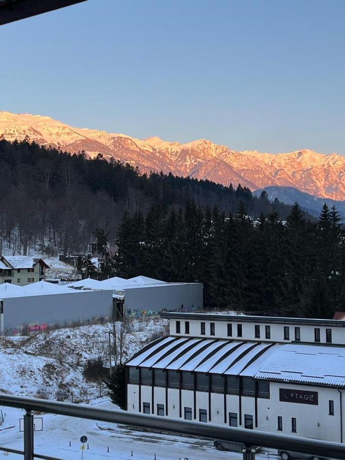 Coca Apart Mountain View Sinaia Exterior photo