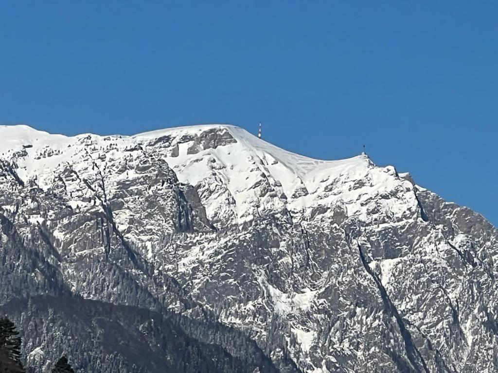 Coca Apart Mountain View Sinaia Exterior photo