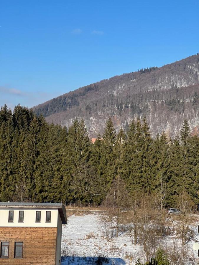 Coca Apart Mountain View Sinaia Exterior photo